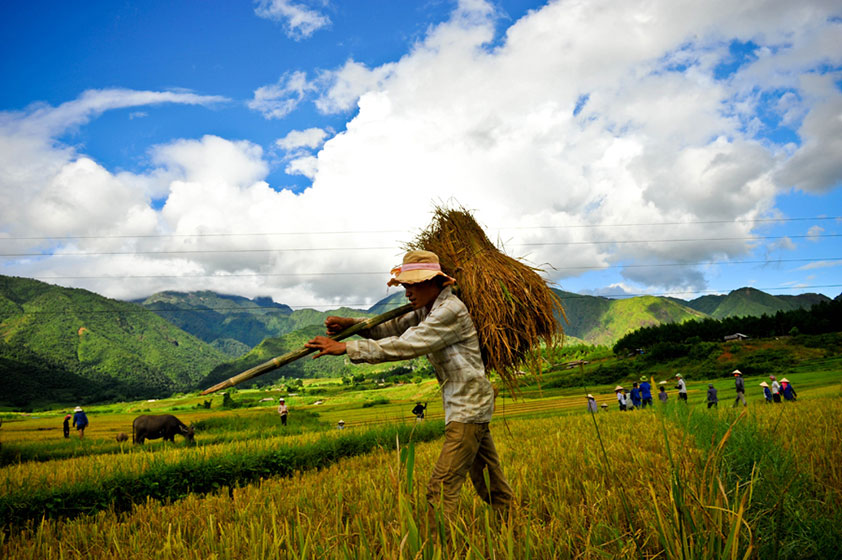 4 days Trekking through the amazing nature of Pu Luong