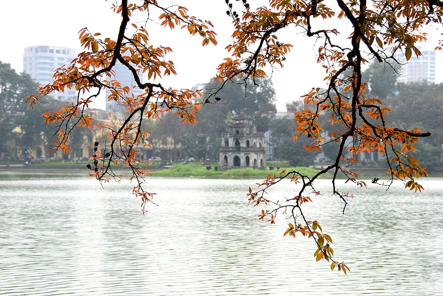 The Temple of Literature in Hanoi