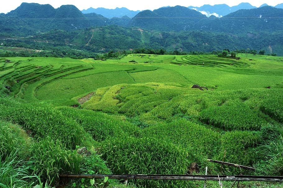 Exclusive Trip From Pu Luong to Ninh Binh