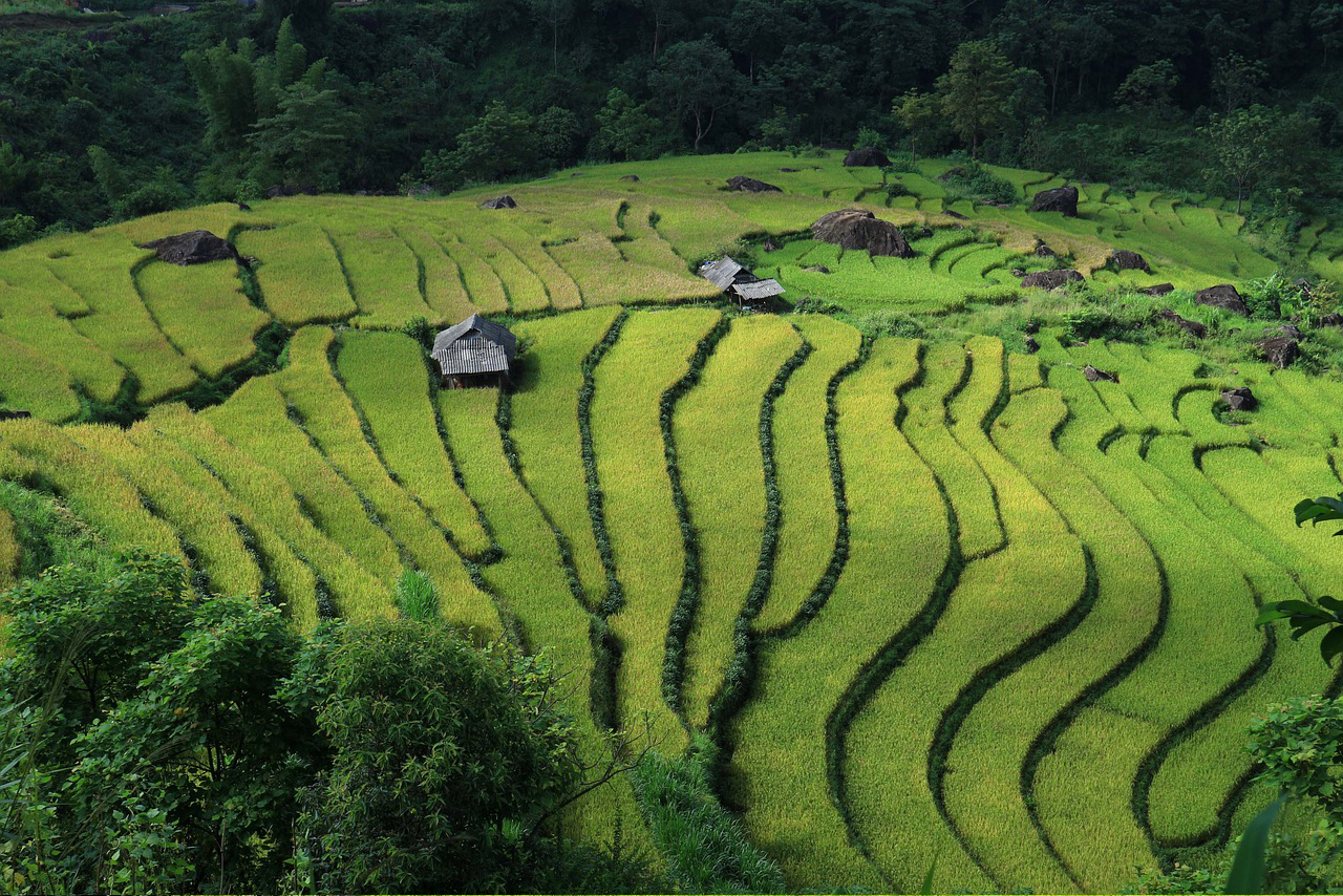 Northern Vietnam exclusive tour Hanoi - Ninh Binh - Pu Luong - Halong Bay