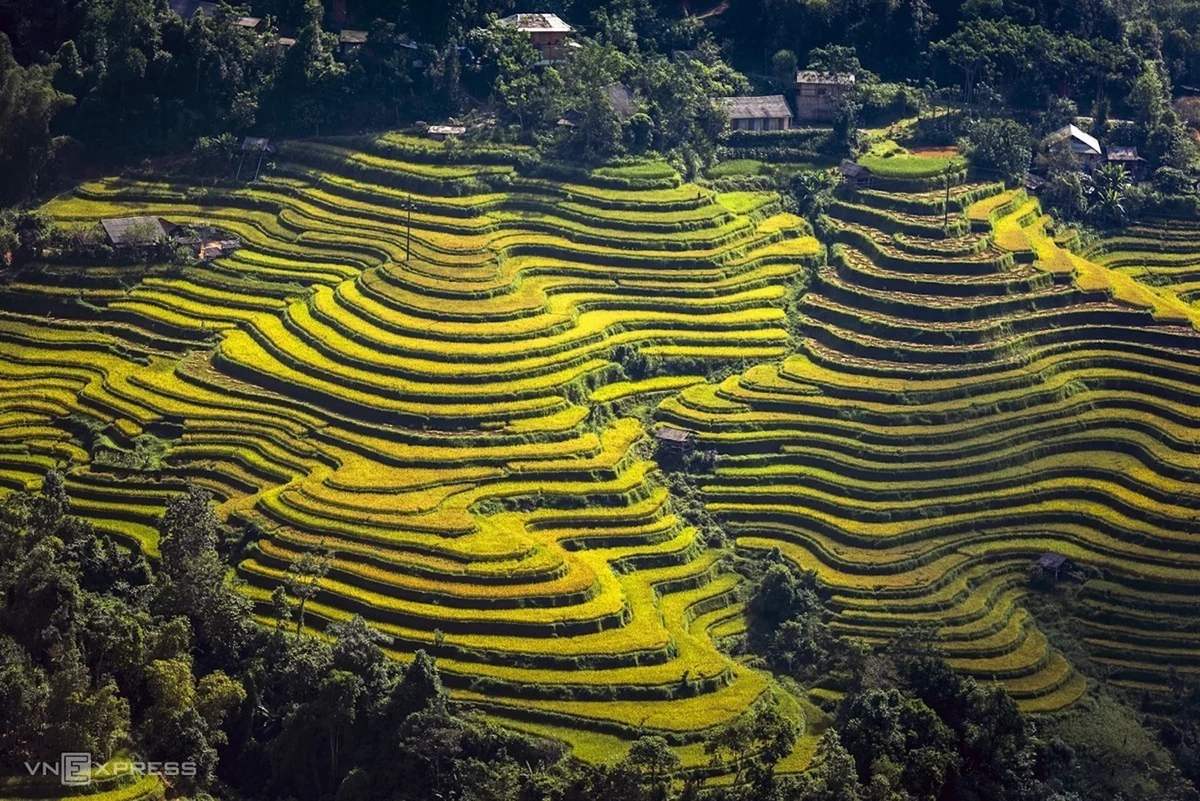 Terraced fields trekking in Hoang Su Phi - 4 days 3 nights