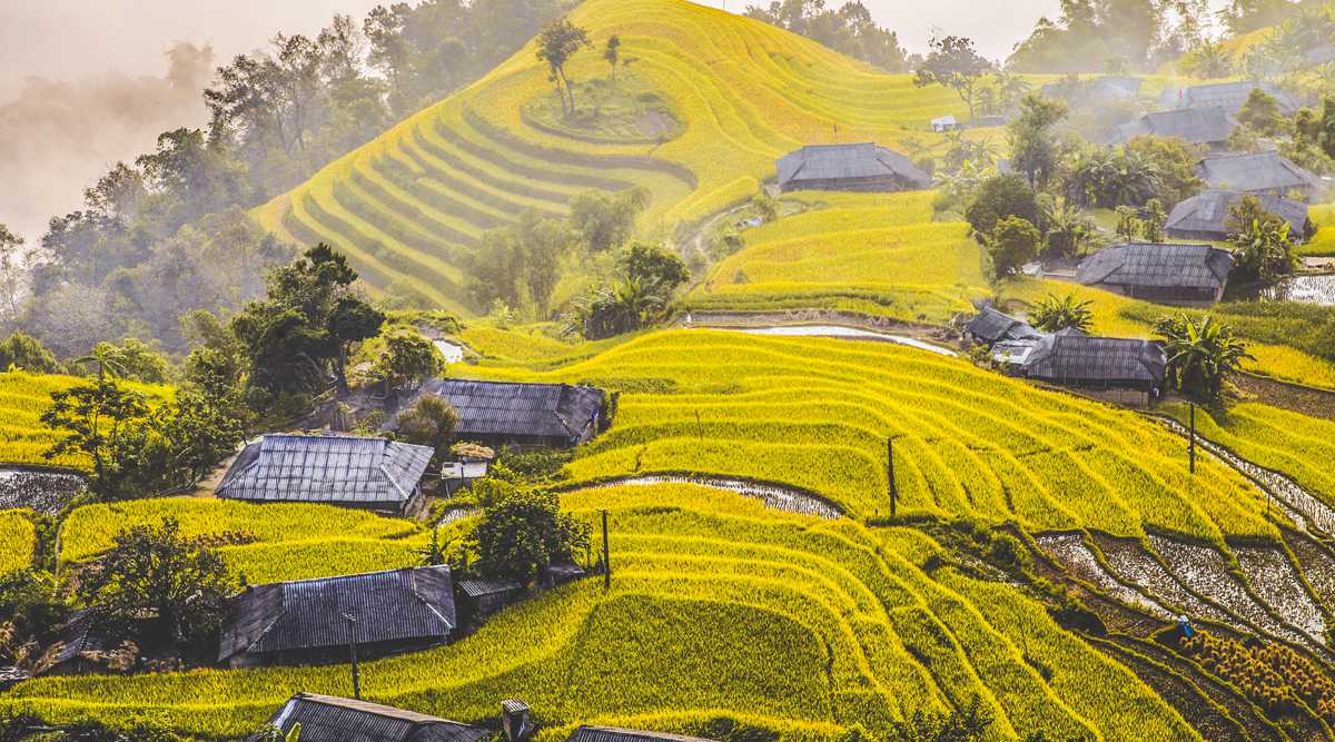 Terraced fields trekking in Hoang Su Phi - 4 days 3 nights