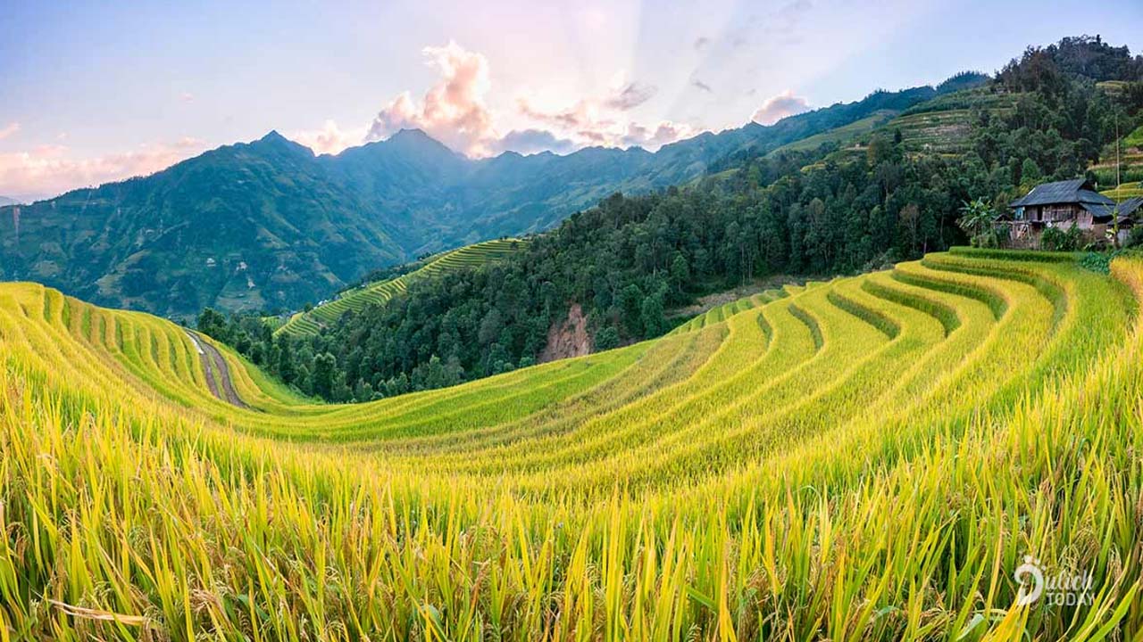 Terraced fields trekking in Hoang Su Phi - 4 days 3 nights