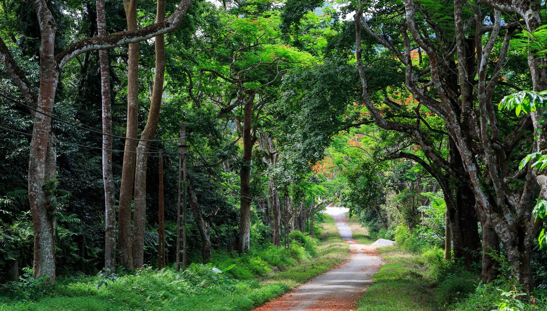 Wild Adventure Tour to Cuc Phuong - Ninh Binh 