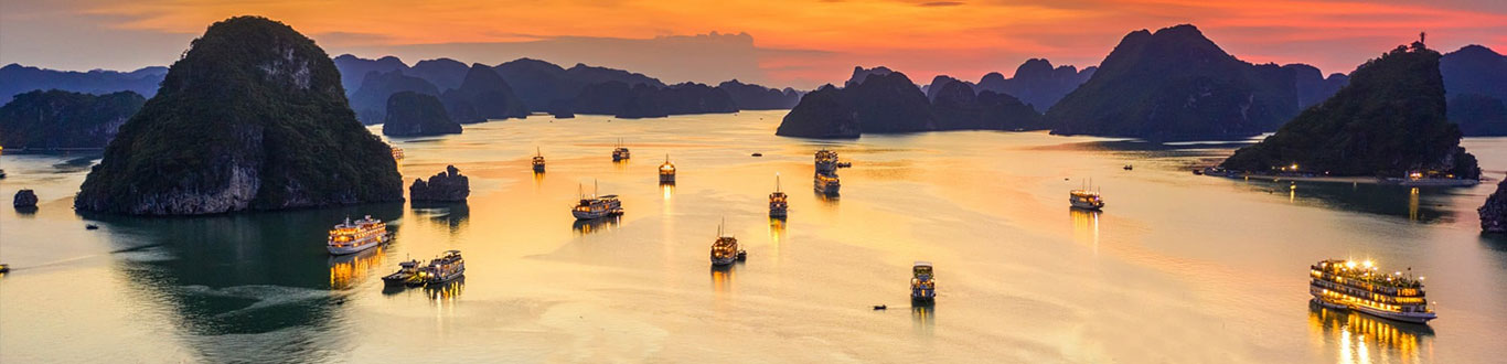 Vietnam Travel News