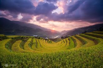 The Best Travel Experiences in the North of Vietnam for Foreign Visitors
